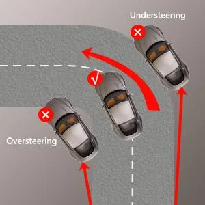 Steering Wandering Steering Wandering