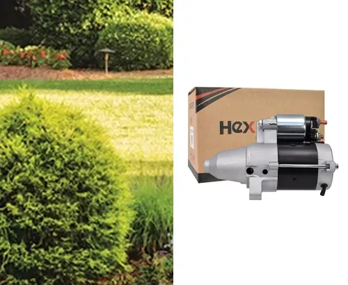 Briggs Stratton Vanguard V Twin Starter