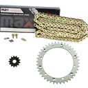 Gold O Ring Chain And Sprocket Kit For 2001-2005 Yamaha Raptor 660