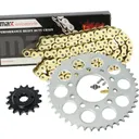 1989-2007 Honda Shadow 600 VLX Chain And Sprocket Set Gold